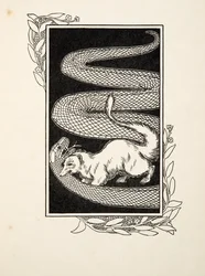 Snake Destroyers, from A Hundred Anecdotes of Animals, pub. 1924 (engraving)