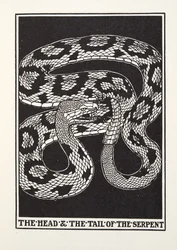 The Head and Tail of the Serpent, from Fontaine Fables, published 1905