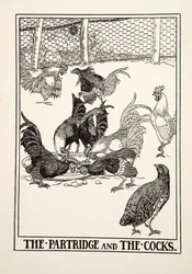 The Partridge and the Cocks, from A Hundred Fables of Aesop, published 1903