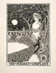 The Peacock