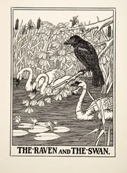The Raven and the Swan, from A Hundred Fables of Aesop