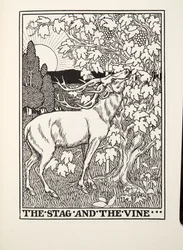 The Stag and the Vine, from Fontaine Fables, pub. 1905