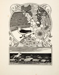 The Tame Seagull, from 