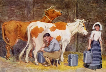 Milking Time