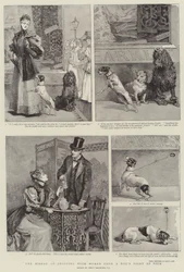 The Misery of Shopping with Women from a Dog