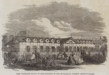 New Antelope House in the Gardens of the Zoological Society, Regent