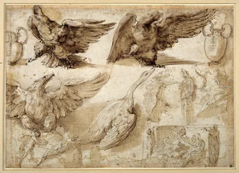 Studies of an Eagle, a Goose, a Jug, a Jar and of Human Figures Including Two for a Rape of Lucretia