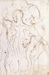 A Nude Seen from Behind, Looking to the Left, and Other Studies of his Left Shoulder and Right Leg