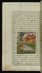 An Evil Lion, Tricked by a Hare, Looks into a Well and Sees His Reflection from Lights of Canopus