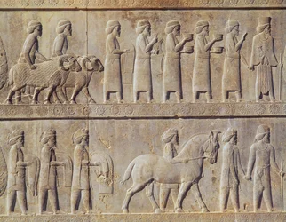 Detail of the Relief Frieze on the East Stairway to the Apadana Depicting Delegates from the Subject Lands of the Empire Bearing Lavish Gifts for a Ceremony, Achaemenian Period