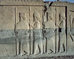 Imperial guard. Reliefs of the eastern staircase of the Apadana, 6th century BC
