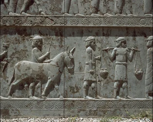 Submissive peoples bring gifts to Darius I. Reliefs of the eastern staircase of the Apadana, 6th century BC