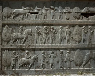 Submissive Peoples Offer Gifts to Darius I