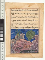 Tale XV, The Cat Attacks the Mice Which Disturb the Lion, Illustration from the Tuti-Nama