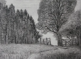 The Forest Path - Spring