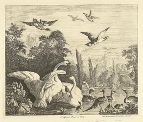 Swans and Ducks in a Bird Pond