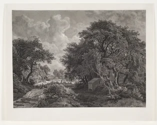 Road through a Village with Tall Trees