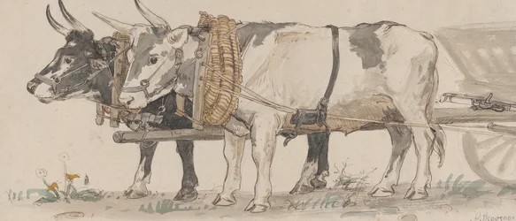 Two Oxen Pulling a Cart