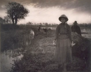 Poling the Marsh Hay, Life and Landscape on the Norfolk Broads, 1886