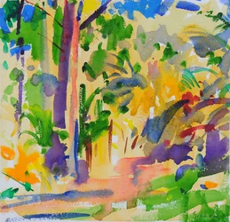 Maui Rainforest