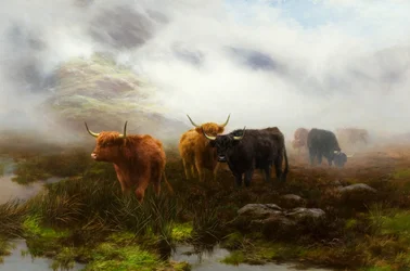 Moorland and Mist