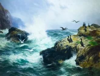 Rocky Shore