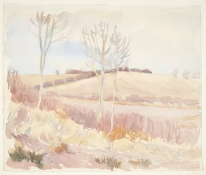 Funen Landscape. Spring