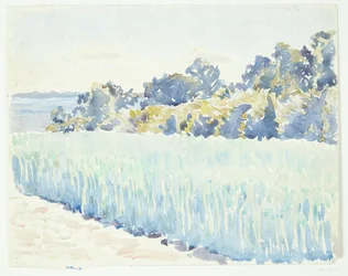 Funen Landscape. Cornfield by a Forest