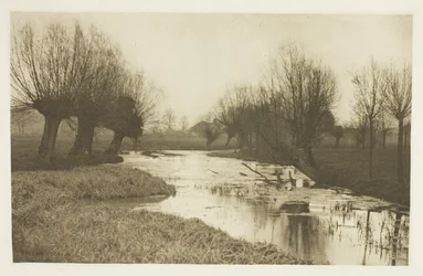 A Backwater on the Lea