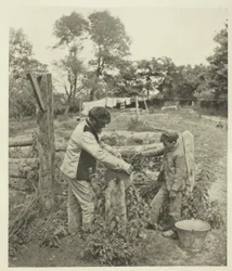 At the Grindstone-A Suffolk Farmyard