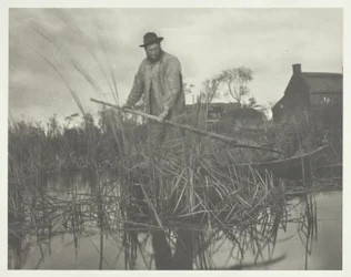 Cutting the Gladdon