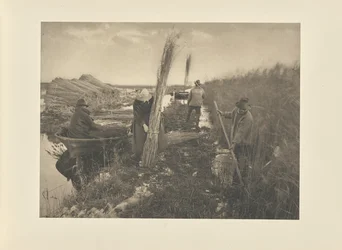 During the Reed-Harvest
