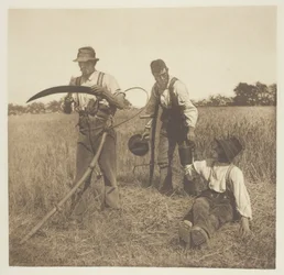 In the Barley-Harvest (Suffolk)