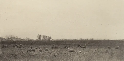 Marshes by the North Sea, 1890-1891, printed 1893