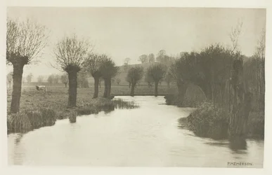 Mouth of the River Ash