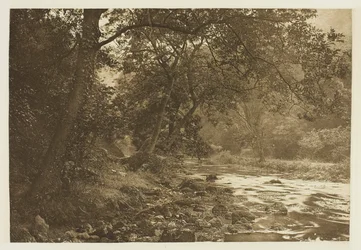 Near Reynard