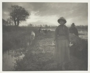 Poling the Marsh Hay