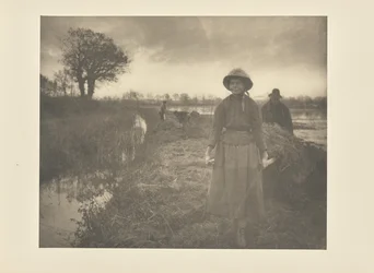 Poling the Marsh Hay