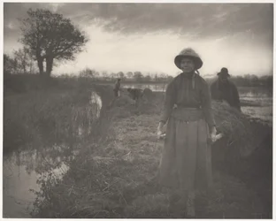 Poling the Marsh Hay