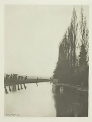 Poplars and Pollards on the Lea, Near Broxbourne