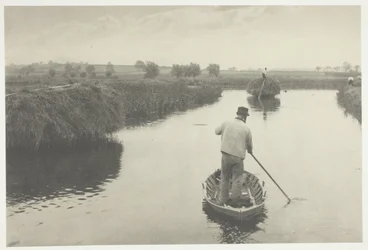Quanting the Marsh Hay