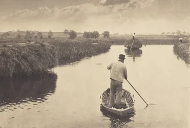 Quanting the Marsh Hay