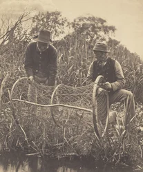 Setting Up the Bow-Net