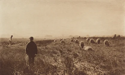 The Marshes in June