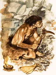 Stone Age Toolmaker