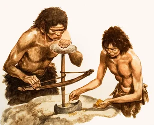 Stone Age Toolmakers
