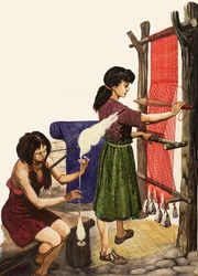 Weaving cotton