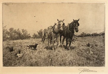 Fall Ploughing