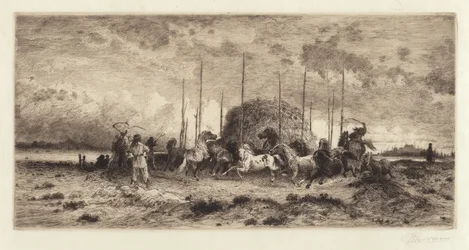 Harvest at San Juan, New Mexico