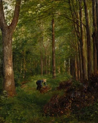 Old Poplar, Section of Gulskov Garden